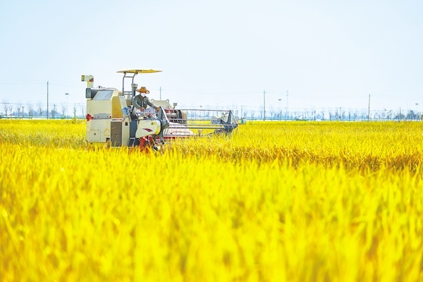 d88e8989b81978eedd374d498ee4478f.jpg d88e8989b81978eedd374d498ee4478f.jpg